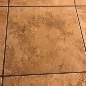 Meet your Posher, Shay